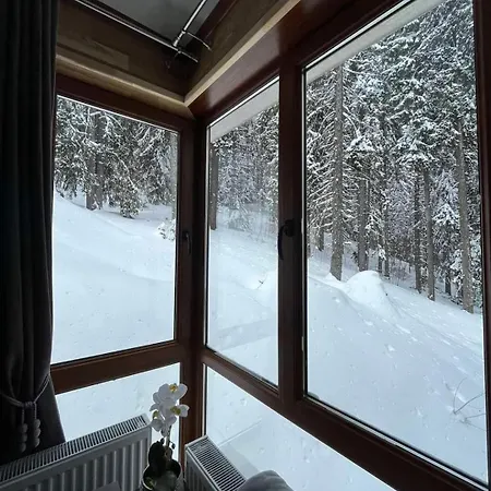 Elizi1winter * 潘波洛沃